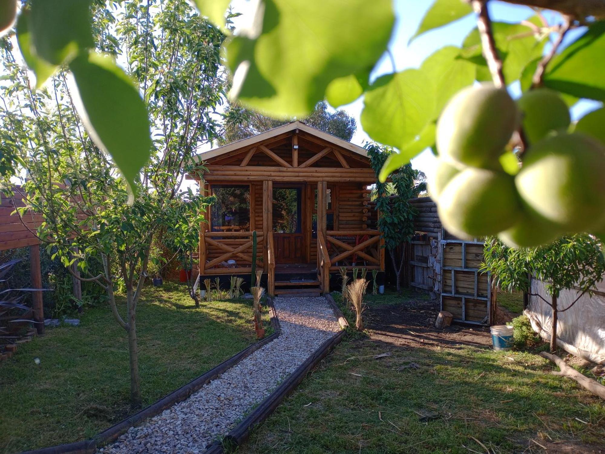Foresta Acantilados, Casa Container Y Cabana De Troncos Мар-дель-Плата Экстерьер фото
